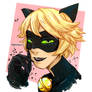 CAT NOIR