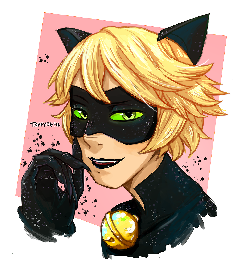 Cat Noir By Taffydesu On Deviantart Cat Noir By Taffydesu On Deviantart