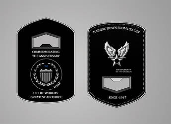 USAF Anniversary Coin 3