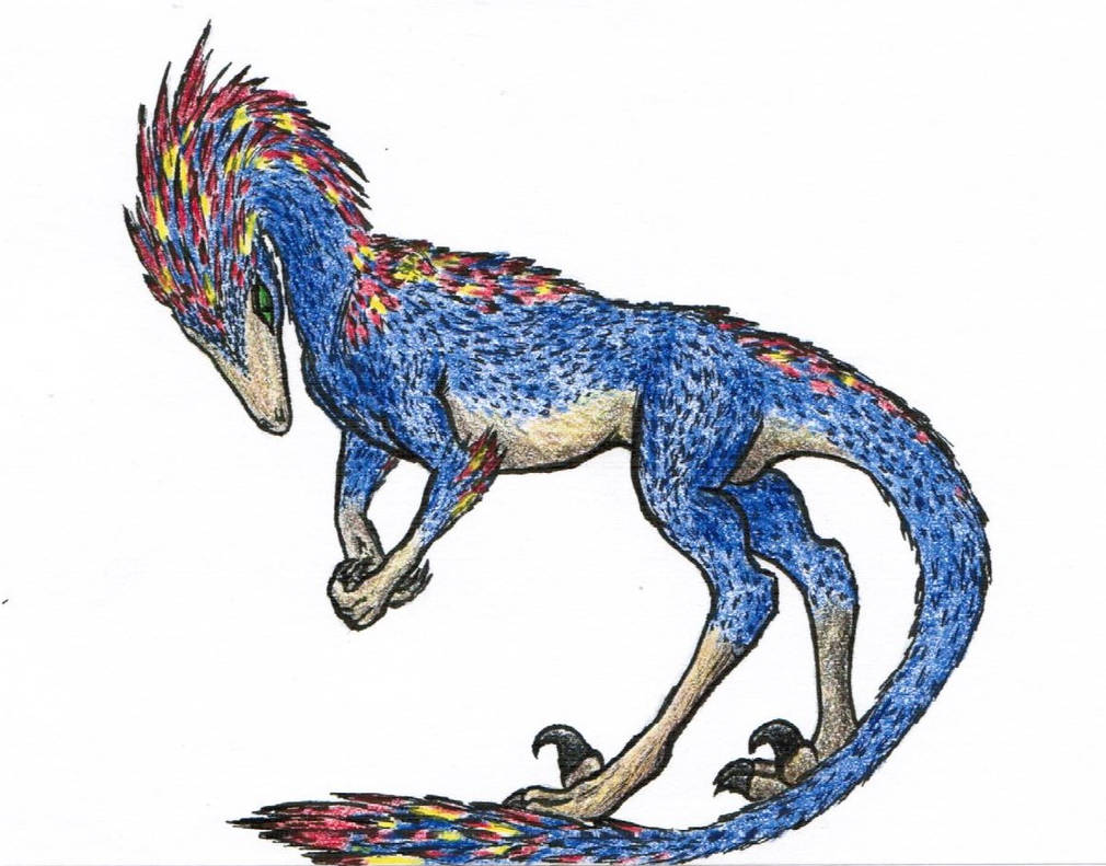 Raptor by Raptor-Rage on DeviantArt