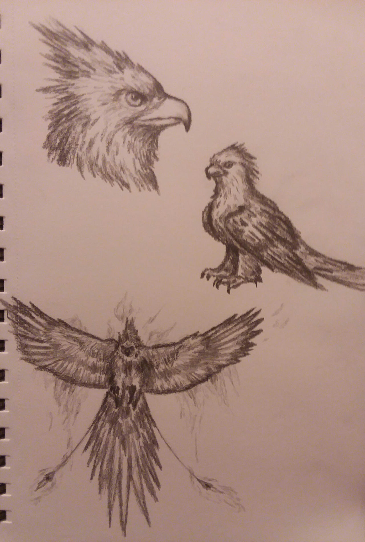 Legendary by Raptor-Rage on DeviantArt