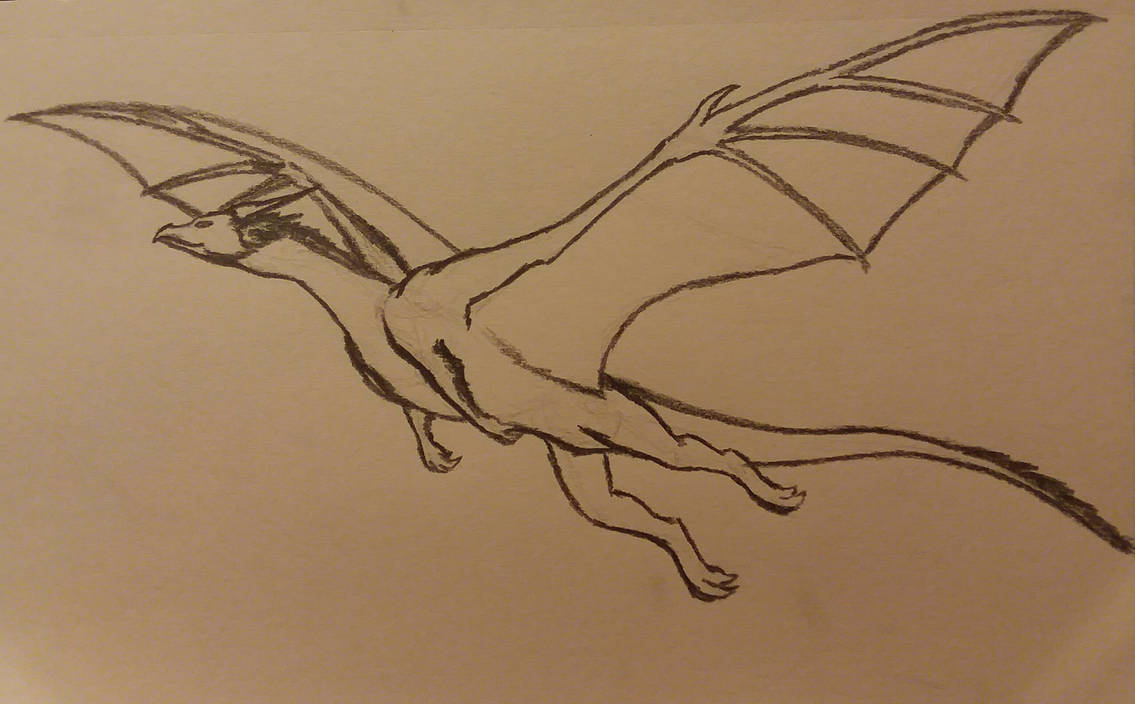 Soar by Raptor-Rage on DeviantArt