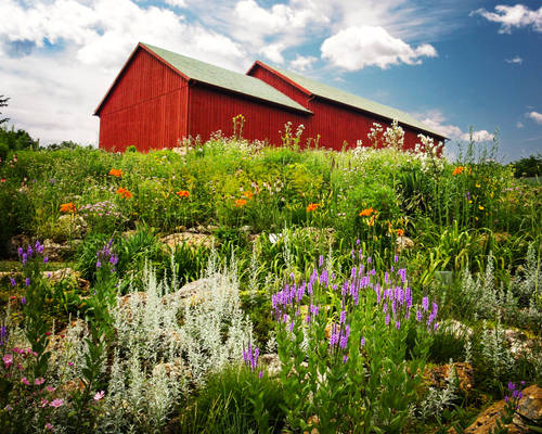 Big Red Barn