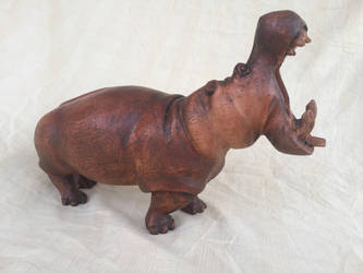 Roaring hippopotamus 2