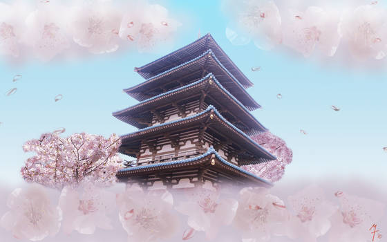 Sakura in Bloom