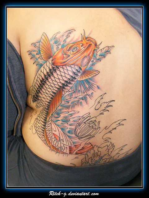 Koi Color Second Sitting