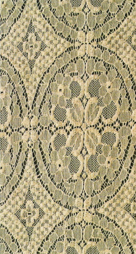 Lace Texture 4