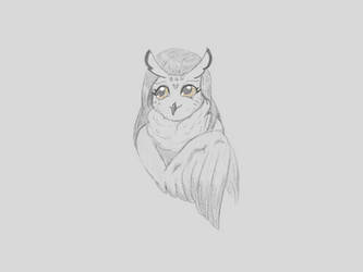 Gloomy owl