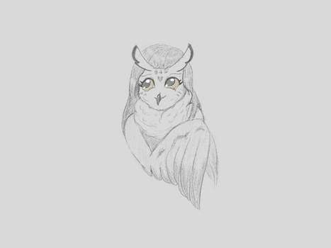 Gloomy owl
