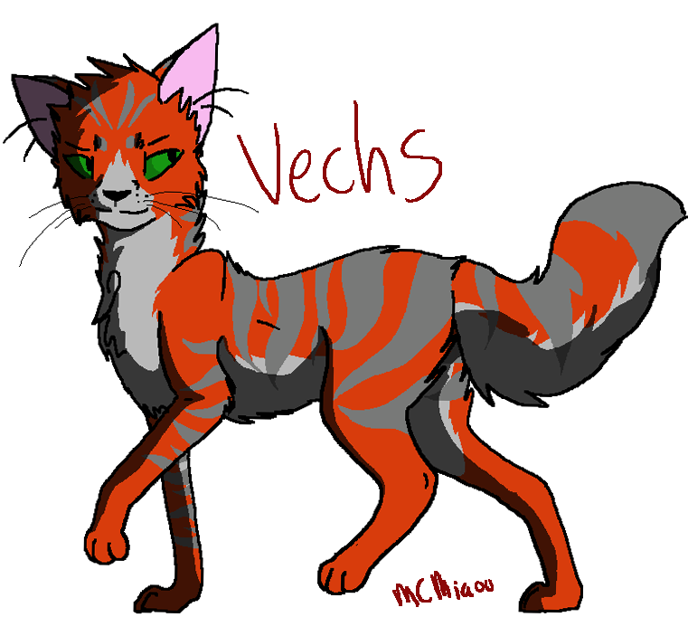 Vechs Cat