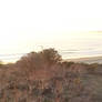 Stock - Sunset Beach Panorama 3