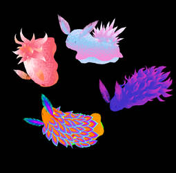 Pride sea slugs
