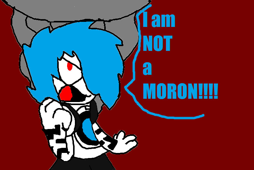Im NOT a moron by ShinySmeargle on DeviantArt