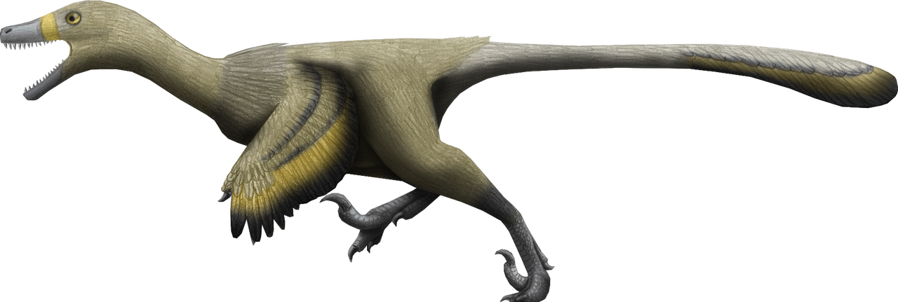 Velociraptor Mongoliensis by Hamish1512201 on DeviantArt