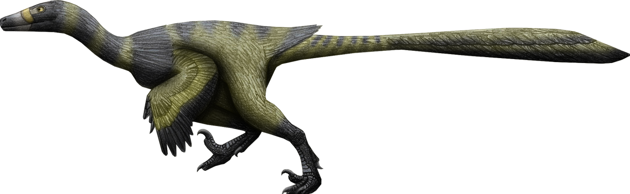 Linheraptor Exquisitus by Hamish1512201 on DeviantArt