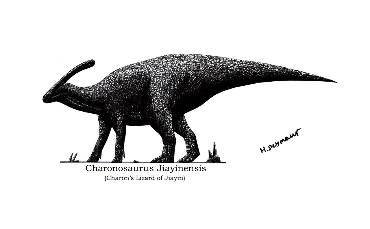 Charonosaurus Jiayinensis (Charon's Lizard of Jiay by Hamish1512201 on ...