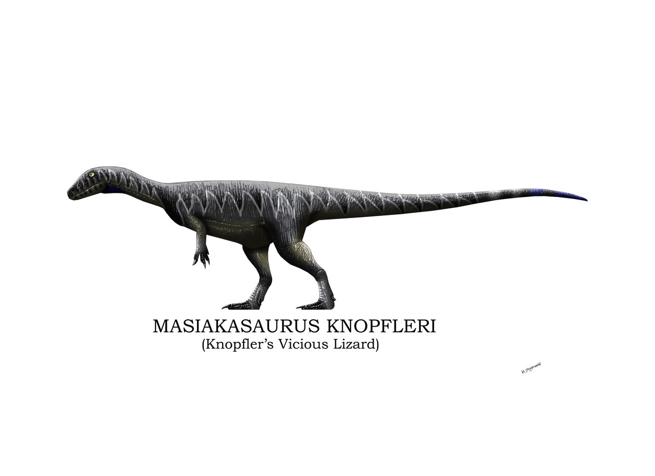 Masiakasaurus Knopfleri Profile by Hamish1512201 on DeviantArt