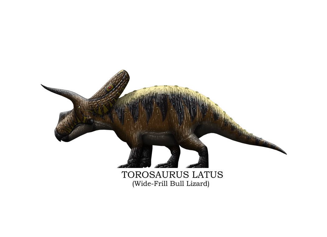 Torosaurus Latus Profile by Hamish1512201 on DeviantArt