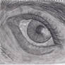 Eye 2