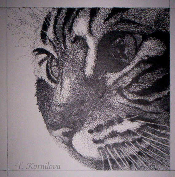 stippling kitty