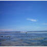 Devoured by Blue W a t e r s