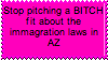 The immigration law in Arizona