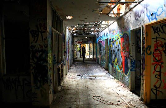 Larundel Mental Asylum VI