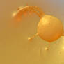 Life on Uranus