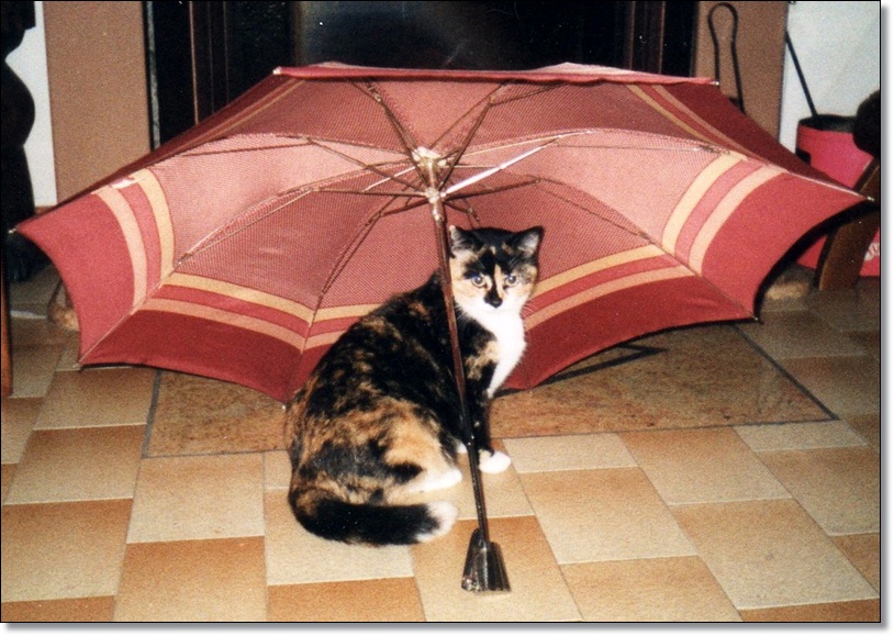 under the umbrella...