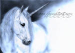 Unicorn by Embers