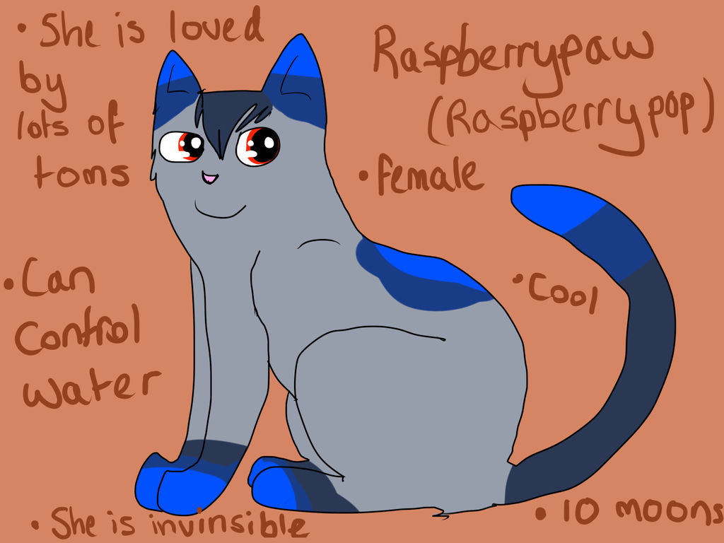 Cat Raspbery Raspberrypaw refernce by SillyPotatoStudios on DeviantArt