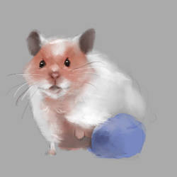 Hamster