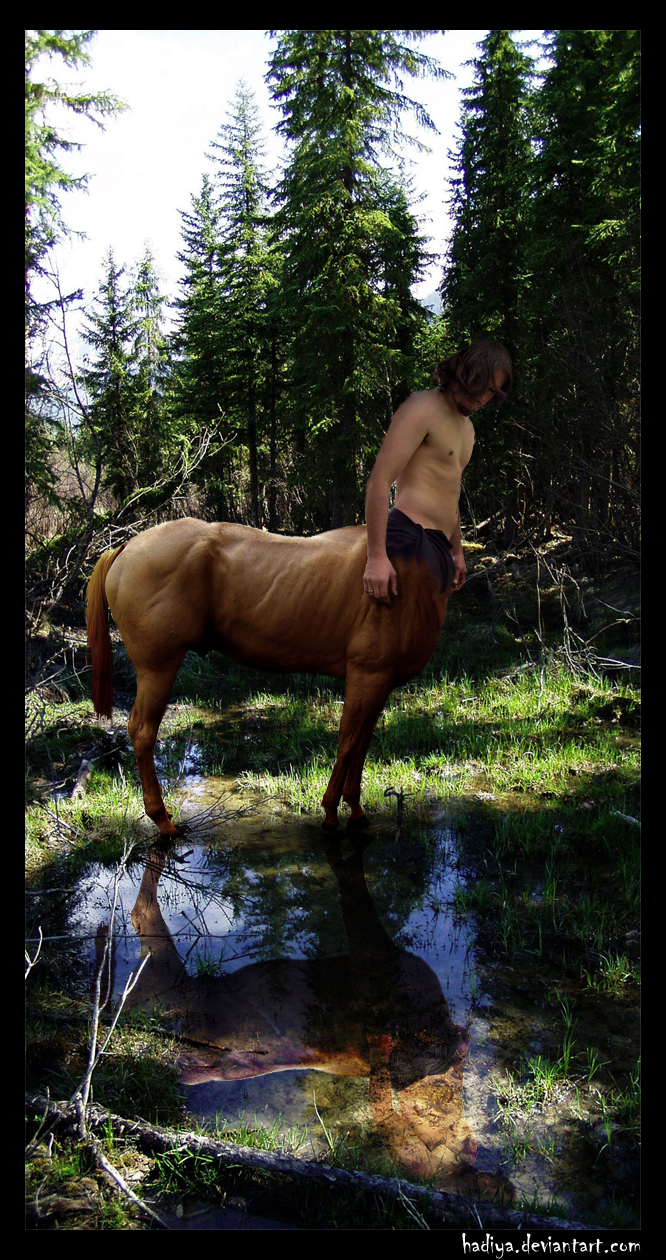 Centaur