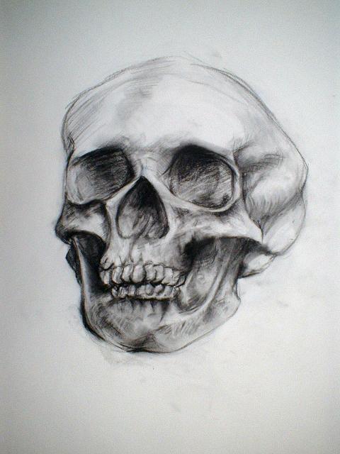 skull