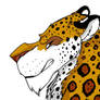 I ish Jaguar. See my spots