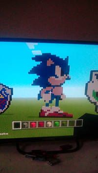 Sonic the hedgehog