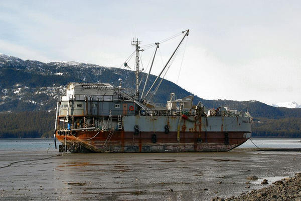 The MV Polar Bear