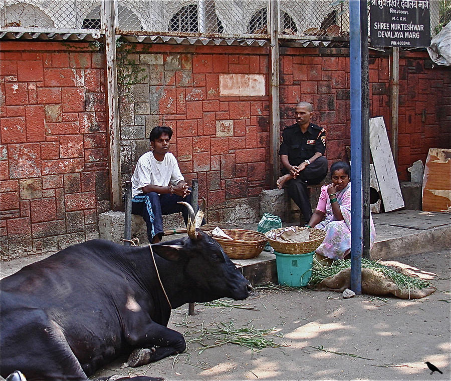 Outside a Temple. India.