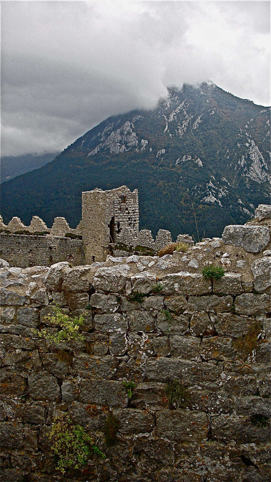 Castles 4. Languedoc. France.