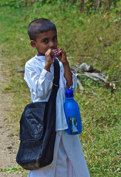Little Sri Lankan boy...