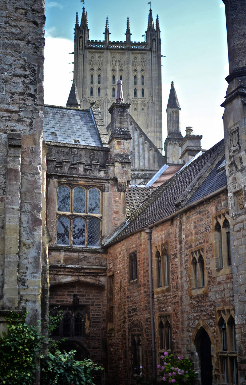 Choristers Row 3. Wells. England