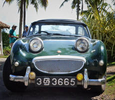 sl-14 Austin Healey Sprite