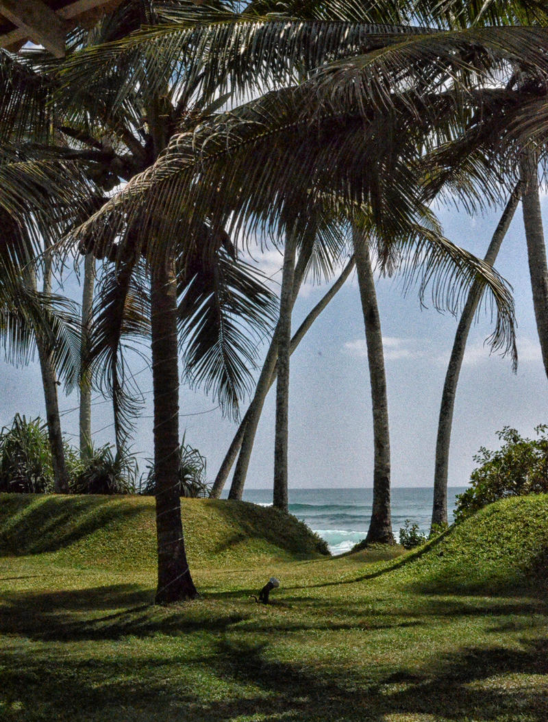 Oh! Sri Lanka