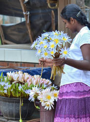 Kataragama Temple. People 8