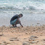 He collects sea shells on the sea shore........