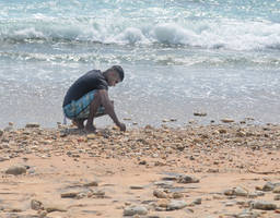 He collects sea shells on the sea shore........