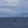 Red sails........Scotland