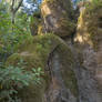 Moss/ferns and rocks. Quinta da Regeleira. Sintra.