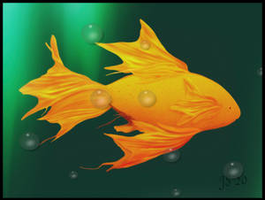 Portrait of a goldfish. by jennystokes