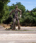 Eagle man.1 Beaucaire. Fr by jennystokes